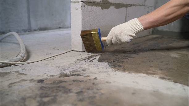 24/7 Emergency Crawl Space Encapsulation experts in Chelsea, MI